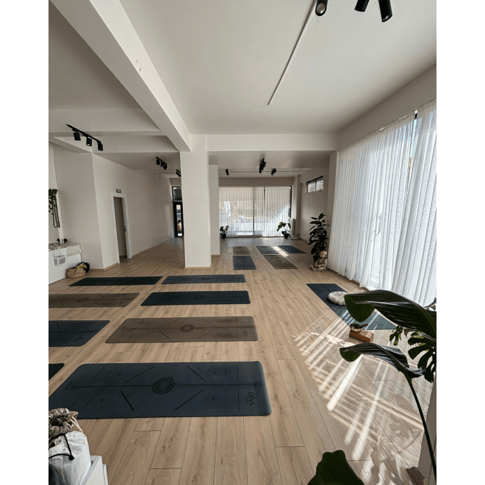 Atölyeler, Workshoplar 💦