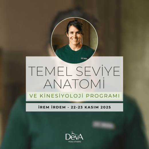 İrem İrdem ile Temel Seviye Anatomi ve Kinesiyoloji Programı (22-23 Kasım 2025)